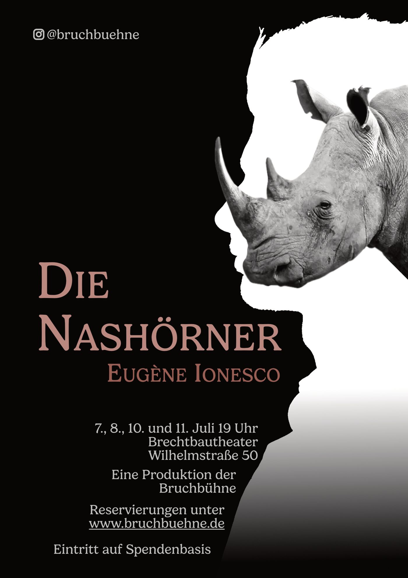 Poster von Die Nashörner